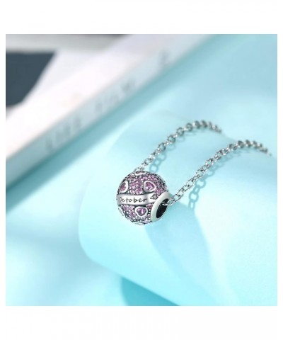 925 Sterling Silver Birthstone Charm Bead for Charm Bracelets and Necklaces with 5A Cubic Zirconia Love Heart Birthday Mother...