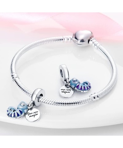 Bead Charms fit Pandora Bracelet, 925 Sterling Silver Pendant Charm with 5A Cubic Zirconia for Necklace and Bracelet Birthday...