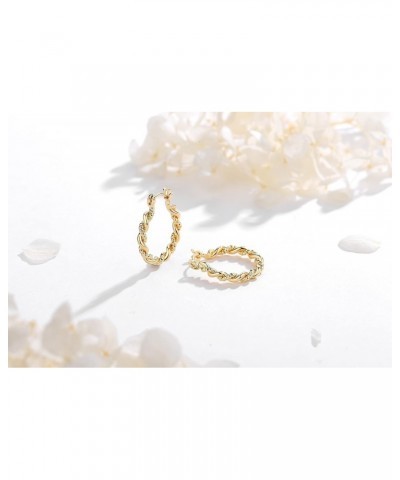 Yumay 14K Gold Plated Small Twist Hoops Earrings | Lightweight Gold Hoop Earrings for Women (20mm) $8.99 Earrings