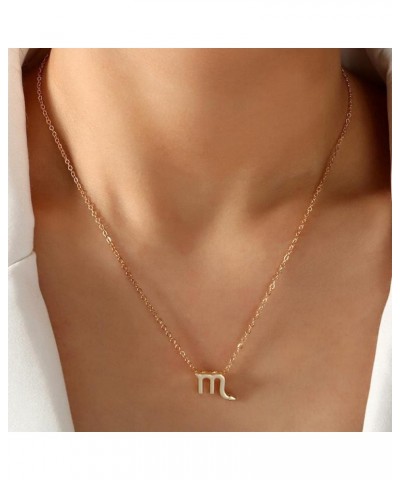 Zodiac Layer Necklaces for Women Girls | Retro 14K Silver Plated 12 Constellation Pendant Necklace | 18 inch Chain, Astrology...