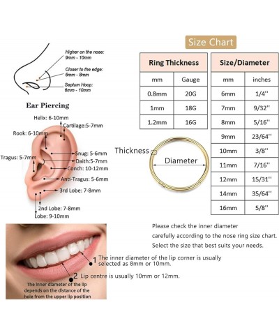 5 Pcs 20G 18G 16G Nose Rings Hoop Set 316L Surgical Steel Earrings Tragus Septum Piercing Cartilage Hoop For Women Men 16g 8m...