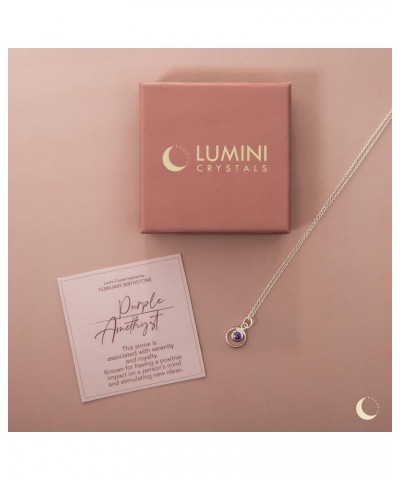 Lumini Women 925 Sterling Silver Simulated Birthstone Pendant Necklace 02. February - Simulated Amethyst $17.09 Necklaces