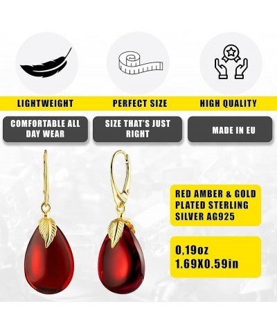 Natural Amber Earrings for Women - Gold Plated Silver Closure 925, Sparkling Polished Drop Amber, Lightweight Natural Semi Pr...