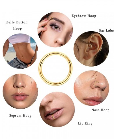 316L Surgical Steel Hinged Nose Rings Hoop 16G 18G Septum Rings for Women Men Clicker Cartilage Earrings Daith Helix Hoop Tra...