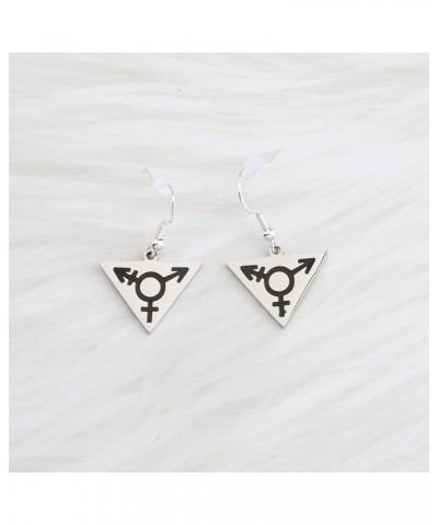 Transgender Symbol LGBT Gay Triangle Pendant Necklace FTM MTF Transgender Pride Jewelry Bisexual Gay Lesbian Gift Transgender...