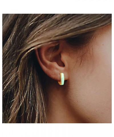 14K Gold Plated Enamel Huggie Hoop Earrings for Women - Matte And Glossy Chunky Neon Colorful Small Huggie Earrings Thick Tre...