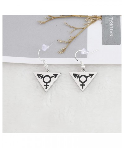 Transgender Symbol LGBT Gay Triangle Pendant Necklace FTM MTF Transgender Pride Jewelry Bisexual Gay Lesbian Gift Transgender...