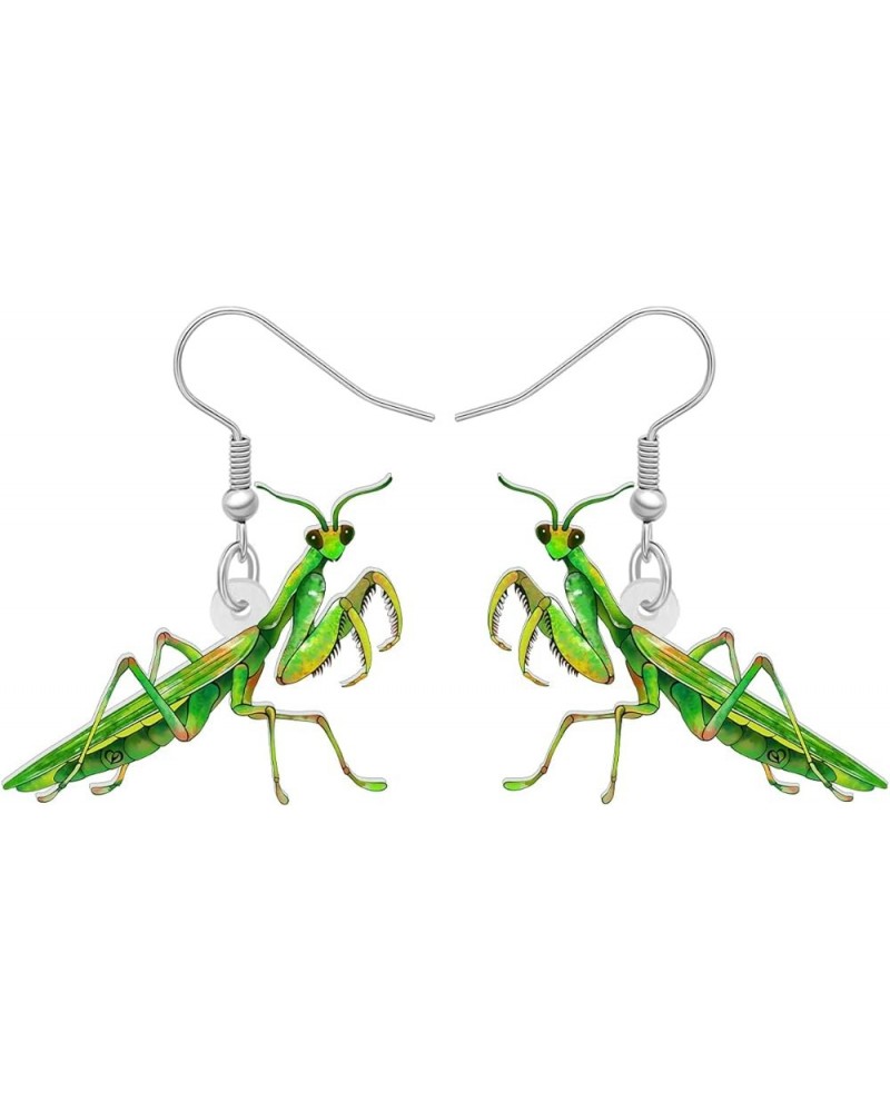 Acrylic Insect Bug Earrings Dangle Praying Mantis Jewelry for Women Girls Animal Lovers Funky Gifts Praying Mantis A $7.40 Ea...