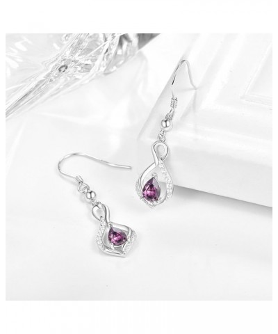 Valentine Gift for Her Infinity Birthstone Dangle Drop Earrings 925 Sterling Sliver Infinity Birthstone Earrings Crystal Birt...